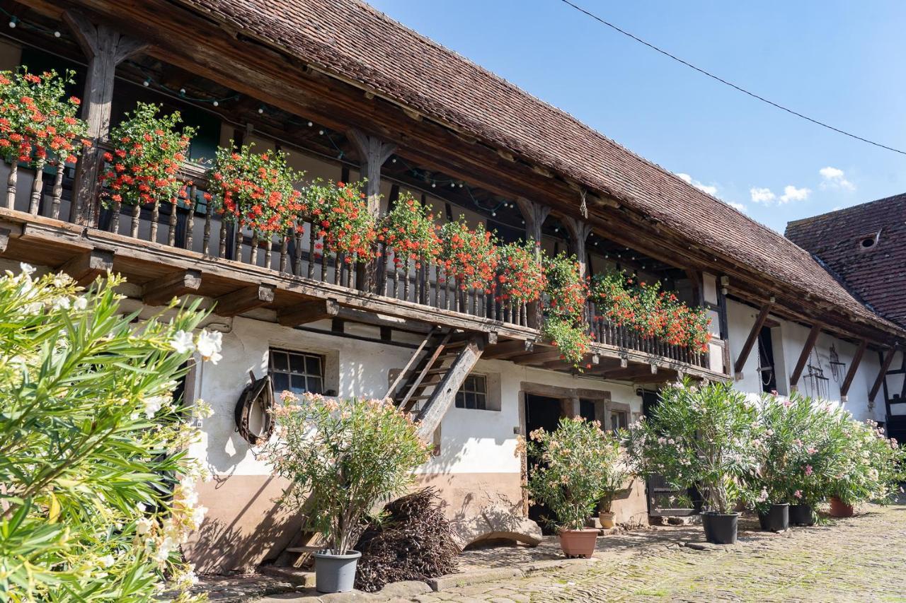 Chambres D'Hotes De Charme A La Ferme Freysz Quatzenheim Zewnętrze zdjęcie