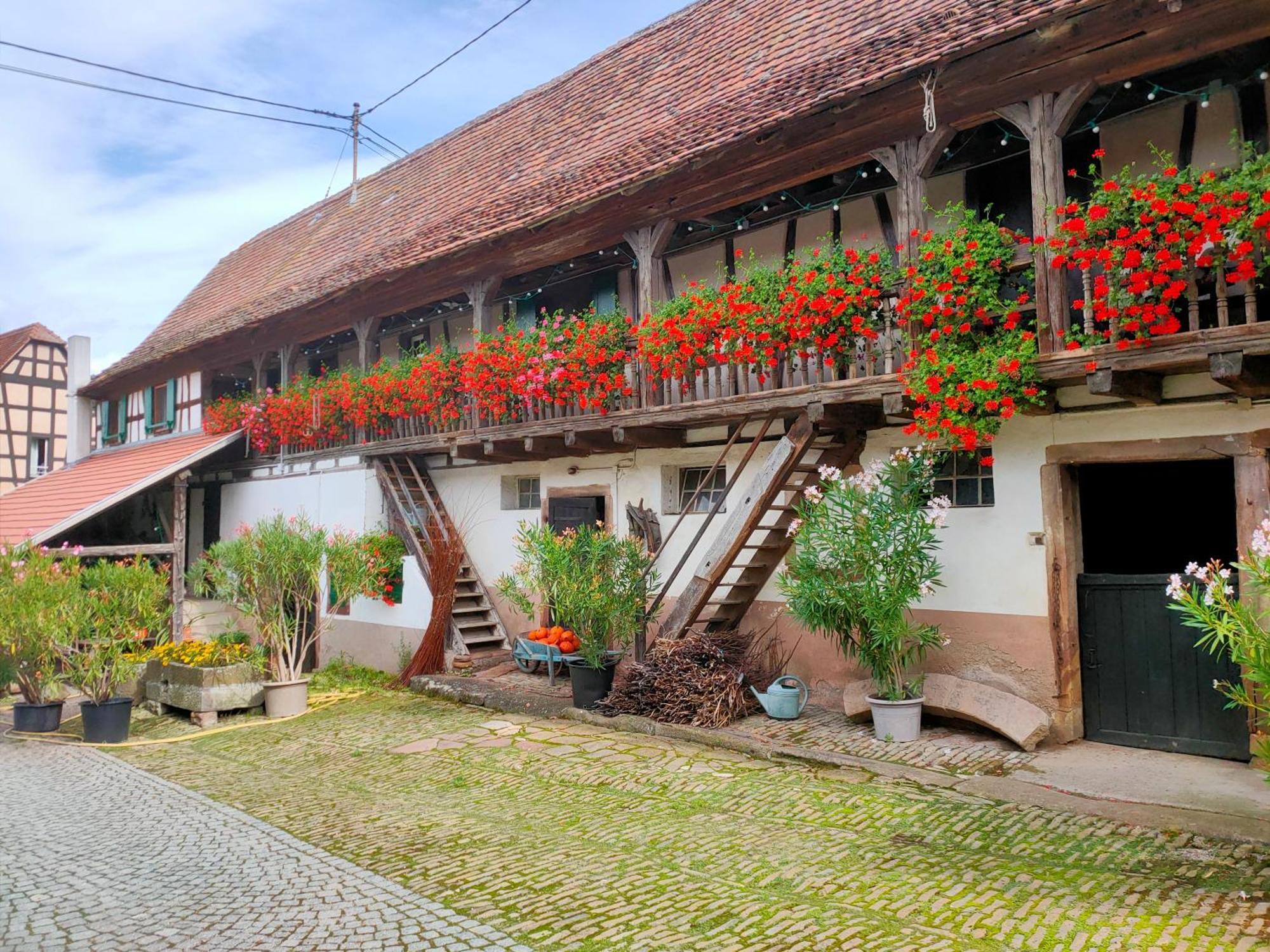 Chambres D'Hotes De Charme A La Ferme Freysz Quatzenheim Zewnętrze zdjęcie